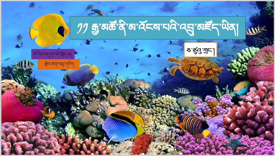七年级上学期藏语文上册第十一课《༡༡ རྒྱ་མཚོ་ནི་མ་འོངས་པའི་འབྲུ་ མཛོད་ཡིན།》课件PPT