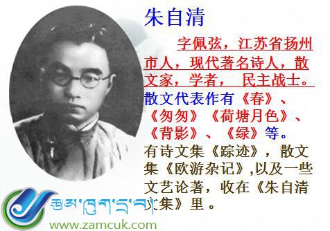 初三年级上学期汉语文《背影》课件 (2).jpg