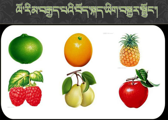 八年级藏文上册 课件形式试题