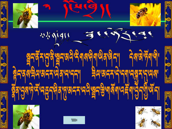 小学五年级上学期藏语文《蜜蜂》课件.png