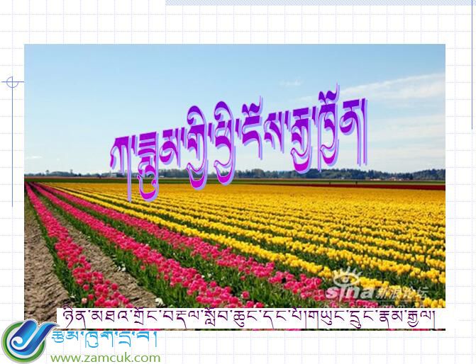 宁木特镇第一完五年级下学期数学《小圆柱表面积》课件