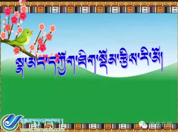 山南地区洛扎县扎日小学五年级下学期藏数下册《复式折线统计图》课件