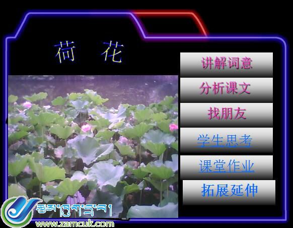 桑日镇赤康小学五年级上学期汉语文《荷花》课件
