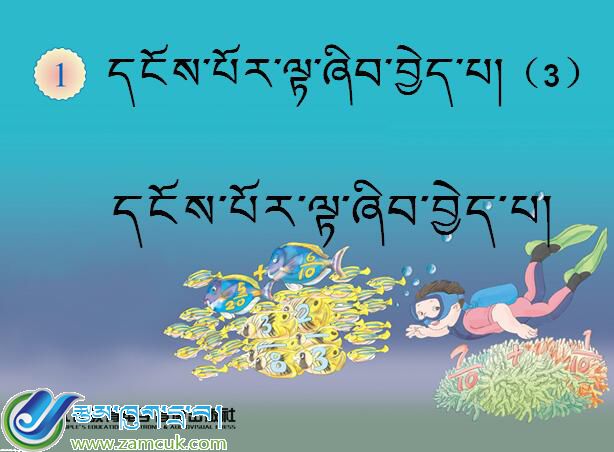 嘎拉小学五年级下学期数学《观察物体》课件