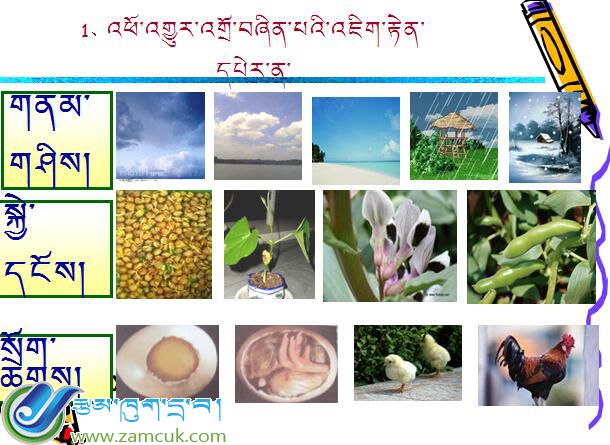 江塘镇中心小学四年级下学期科学《变化》课件 (2).jpg