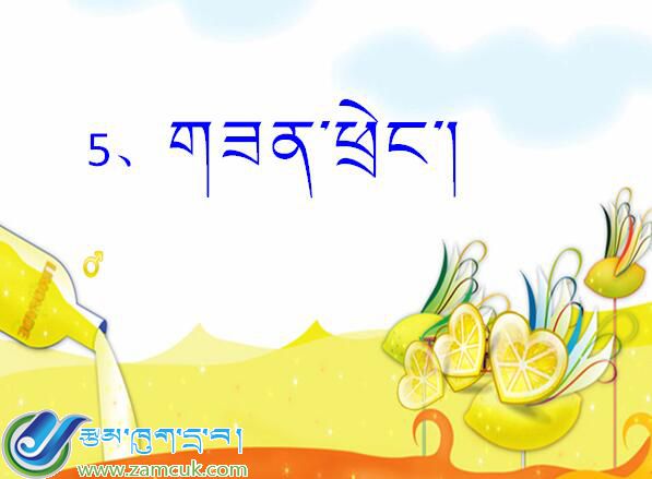 普兰县小学六年级上学期科学《食物链》课件