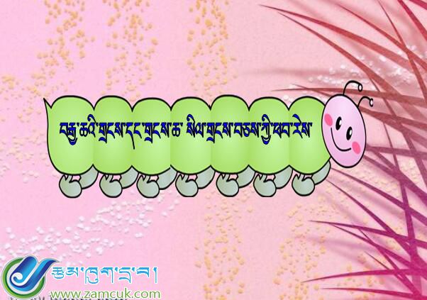 小学六年级上学期数学《分数、小数点》课件