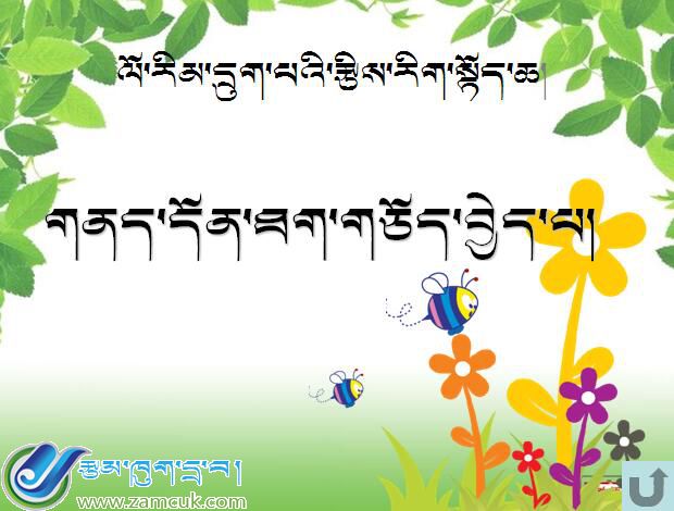 山南地区洛扎县扎日小学六年级上学期数学上册《分数的乘法应用》课件