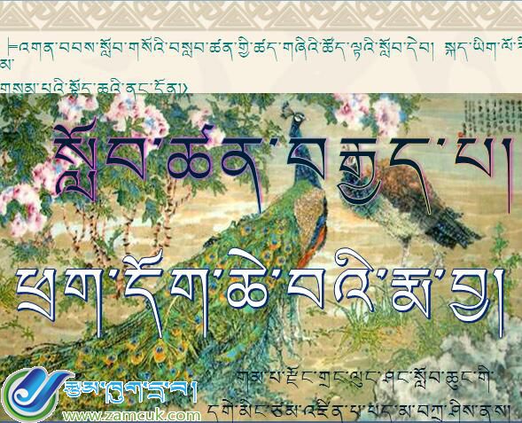 小学三年级上学期藏语文《骄傲的孔雀》课件 (2).jpg