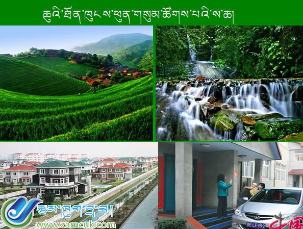 空港新区甲日小学三年级上学期科学《水和生命》课件 (1).jpg