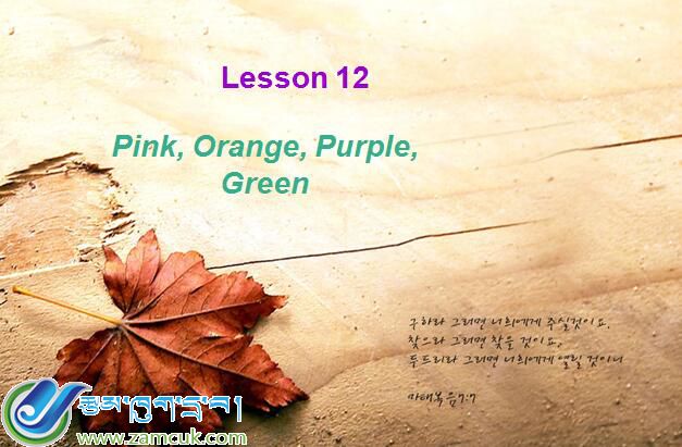 拉萨市林周县唐古乡中心小学三年级上学期英语12课《Pink, Orange, Purple, Green》课件.jpg