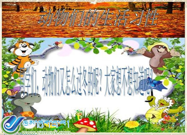 康马县萨玛达乡小学三年级上学期汉语文《朋友再见》课件 (2).jpg