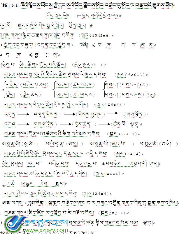 2015年小考藏语文考试 答案   真题