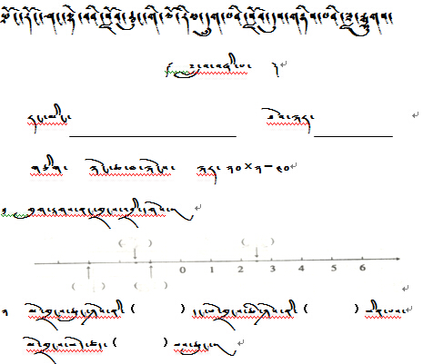 布荣乡小学六年级第二学期数学月考试卷（四）