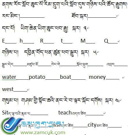 江孜县纳如乡完小六年级下学期英语月考试卷