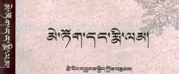 小说 | 花与梦མེ་ཏོག་དང་རྨི་ལམ།