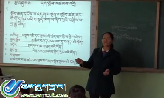 小学藏语文写作知识课堂实录